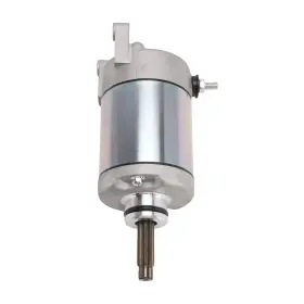 31160417 Automoto8 Starting Motor For Swm 445cc Gran Milano 440 My16 Silver Vase