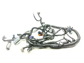 69603-08 Harley-davidson 08 Dyna Fat Bob Fxdf Main Wire Wiring Harness Loom