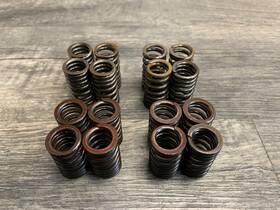 Kawasaki 49078-1213 2003-2006 Zx6r Zx636 Ninja Cylinder Head Valve Springs Intake Exhaust
