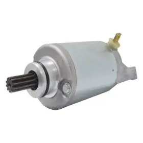 18743n Wai Str Nd Pmdd 12 V