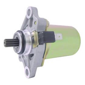 Wai 19595n Str China Pmdd 12 V 11 T Ccw