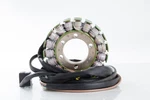 Ricks Electric Stator 21-560 New. Price: $231.95.