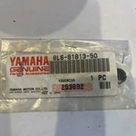 Oem Yamaha Starter Brush Spring 8L6-81813-50 New. Price: $5.95.