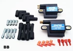 Dynatek DC11-1 Miniature 0.5 Ohm Dual Output H-d Twin Cam Coils ** Pair New. Price: $144.95.