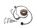 Engine Stator Generator 2016 Triumph Daytona 675 Abs 2789A Used. Price: $254.19.