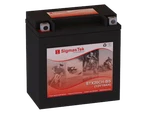 Kawasaki 2000CC VN2000-A Vulcan 2004-2010 Sla Agm Battery Replacement Sigmastek New. Price: $55.35.