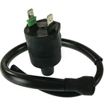 Arrowhead Ignition Coil 30510-HM7-003 ARR160-01020 New. Price: $37.16.